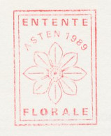 Meter Card Netherlands 1991 Flower Entente Florale - Asten - Sonstige & Ohne Zuordnung