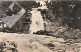 CAUTERETS. - Cascade Du Pont D'Espagne . CPSM 9X14 - Cauterets