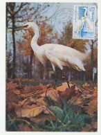 Maximum Card France 1975 Bird - Egret - Sonstige & Ohne Zuordnung