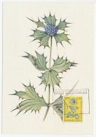 Maximum Card Netherlands 1960 Sea Holly - Other & Unclassified