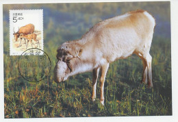 Maximum Card China 2001 Saiga Antelope  - Autres & Non Classés