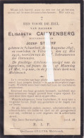 Elisabeth Cauwenberg :  Schaerbeek 1897 -  Vilcoorde 1931 - Devotion Images