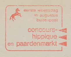 Meter Cut Netherlands 1984 Horse Contest - Horse Market - Concours Hippique - Hippisme