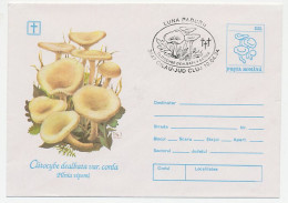 Postal Stationery Romania 1994 Mushroom - Pilze