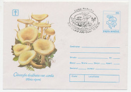 Postal Stationery Romania 1994 Mushroom - Champignons