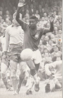 PHOTO SPORT FOOTBALL FOOTBALLEUR PELE - Sport