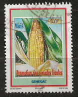 YT N° 1723 - Oblitéré - Céréales Locales - Senegal (1960-...)
