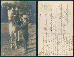 [ OT 016376 ] - ANIMALS HORSE CHEVAL OLD PHOTO - Pferde