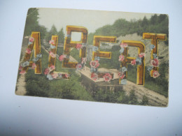 THEMES DIVERS CARTE COULEUR ANCIENNE SANS ECRITURE  EDIT P L PARIS  PRENOM ALBERT FLEURS RAIL  FORETS ////////// BE+ - Autres & Non Classés