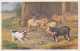 Postcard - Art - E Hunt - Dog Barking At Pigs  - Card No. 5167 - Posted 13-12-1957 - VG - Unclassified