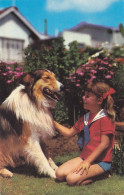Postcard - Little Girl And Dog, Loving Friends  - Card No. P7 - VG - Sin Clasificación