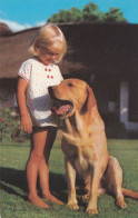 Postcard - Little Girl And Dog,  Gazing Down On Her Friend   - Card No. P1 - VG - Unclassified