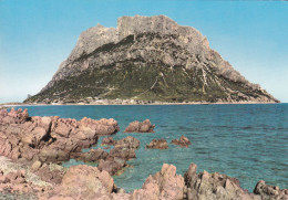 Isola Di Tavolara - Sassari