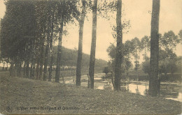 Postcard Belgium L'Yser Entre Nieuport Et Dixmunde - Sonstige & Ohne Zuordnung