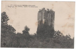 Environs De LIMOGES  Chalucet Donjon Du Bas Château Appelé Tour Jeannette - Sonstige & Ohne Zuordnung