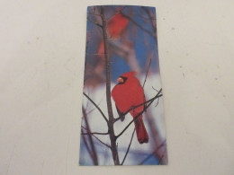 FICHE 461 PHOTO ANIMAUX OISEAU Le CARDINAL COMMUN - La COULEUR ROUGE - Dieren