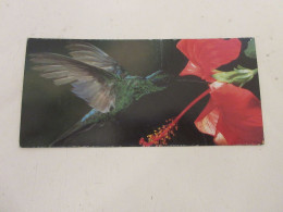 FICHE 359 PHOTO ANIMAUX OISEAU Le COLIBRI - LA FACON De Se NOURRIR   - Dieren