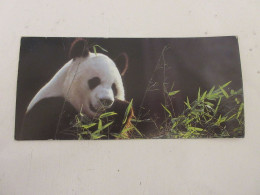 FICHE 241 PHOTO ANIMAUX Le GRAND PANDA - Les ANIMAUX MENACES - Animali