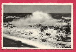 C.P. De Haan Aan  Zee  =  Storm - De Haan
