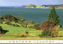 New Zealand Chatham Islands South Pacific Oceana - New Zealand