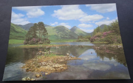 Scotland - Glen Etive - Photograph Dennis Hardley - Exclusive Card Co., Edinburgh - Altri & Non Classificati