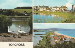 Postcard - Tarcross - Three Views - Card No.plc2063 - Very Good - Ohne Zuordnung