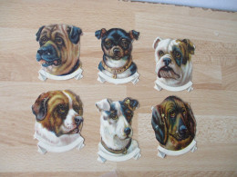 LOT DE 6 DECOUPI PORTRAIT CHIENS CHIEN  CHROMO - Animales