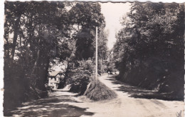 [76] Seine Maritime. Yport. Le Carrefour De Vaucottes - Yport