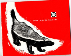 Shell Guide To Wild Life - Autres & Non Classés