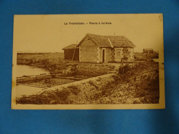 17) La Tremblade - N° - (carte Glacé) Parcs A Huitres - Année:1910 - EDIT: Braun - La Tremblade
