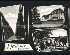 71957866 Neuhaus Solling Kanal Hotel Pferdeherde Neuhaus - Holzminden