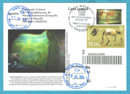 Moldova , 2024 , From The Museums’ Patrimony, Cave Bear , Paleontology , Postmark First Day - Moldawien (Moldau)