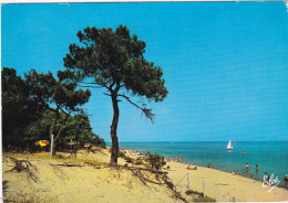 17. ÎLE DE RÉ. LES PORTES EN RE . CPSM. TROUSSE CHEMISE. UN JOLI COIN OMBRAGE DE LA PLAGE. ANNEE 1966 + TEXTE - Ile De Ré