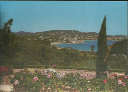 Sainte Maxime - Vue Générale - (P) - Sainte-Maxime