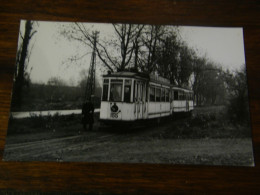 Photographie - Strasbourg (67) - Tramway - Ligne N° 155 - Animation - 1950 - SUP (HX 82) - Strasbourg