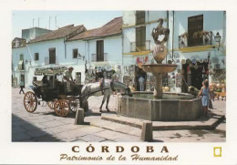 CORDOBA, PLAZA DEL POTRO, CHEVALK SE DESALTERANT A LA FONTAINE  COULEUR REF 16770 - Córdoba