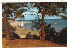 17. ÎLE DE RÉ. LES PORTES EN RE . CPSM. PLAGE DE TROUSSE CHEMISE. ANNEE 1971+ TEXTE - Ile De Ré