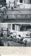67) 2 Photographies Originales - Transplantation Du Tabac - Chez M. SCHEER - Ferme Pilote à Westhouse (Mai 1951) - Altri & Non Classificati