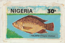 Nigeria 1991 Fishes - Original Hand-painted Artwork For 30k Value (Talapia) By Nojim A Lasisi Similar To Issued Stamp On - Nigeria (...-1960)