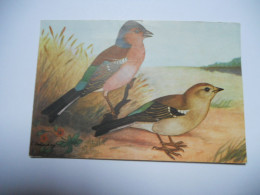 THEMES DIVERS CARTE ANCIENNE SANS ECRITURE EDIT DURASSIE  LE PINSON 2 OISEAUX DESSIN //TBE - Birds