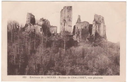 Environs De LIMOGES Ruines De Chalucet  Vue Générale - Autres & Non Classés