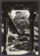 100579/ TOULOUSE, Musée Des Augustins, Jardin Vu Du Cloître - Toulouse