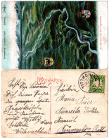 Bayern 1908, Reservestempel TITTMONING R Auf Salzach Vogelschau-AK M. 5 Pf. - Briefe U. Dokumente