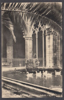 126522/ BARCELONA, Catedral, Claustro, Fuente Y Ocas - Barcelona