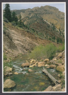 115192/ UTAH, Flaming Gorge National Recreation Area, Sheep Creek Canyon - Sonstige & Ohne Zuordnung