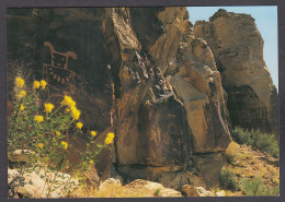 115189/ UTAH, Dinosaur National Monument, Beeplant And Petroglyphs At Mckee Spring - Altri & Non Classificati