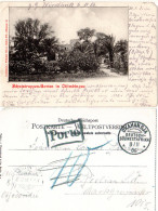 DSWA 1906, Sw AK Als Feldpost Karte V. Otjosondu Ab OKAHANDIA M. Porto-Stempel - Deutsch-Südwestafrika