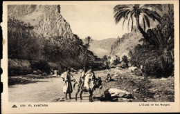 CPA El Kantara Algerien, Oued Und Die Schluchten - Sonstige & Ohne Zuordnung