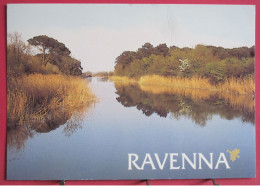 Visuel Pas Très Courant - Italie - Ravenna - Parco Regionale Delta Del Po - Ravenna