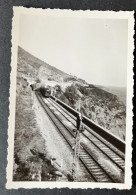 Photo  Ancienne Snapshot  Train L'Esterel 1951  6 X 9 Cm - Trains